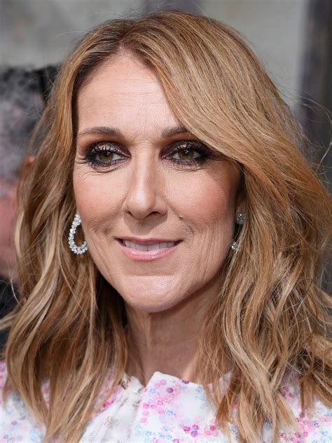 celine vs dior|Celine dion biography.